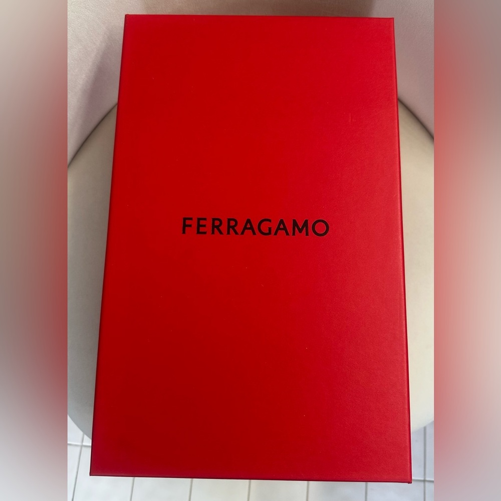 Ferragamo Empty shoe box !